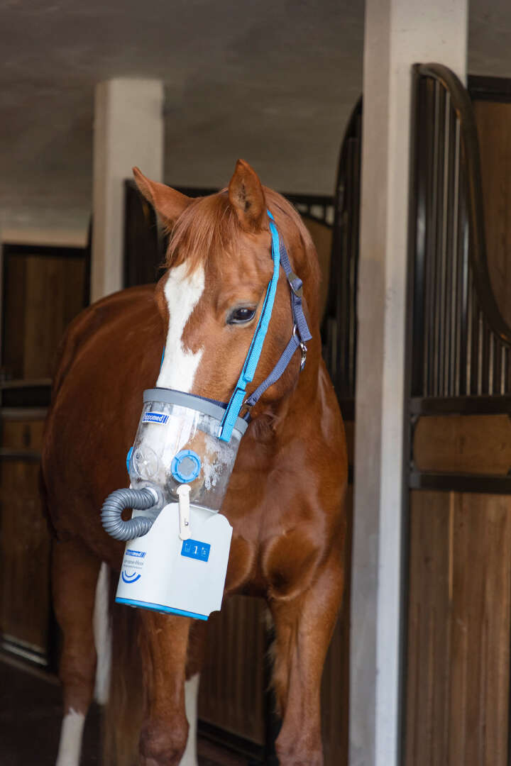 hippomed Akku-Ultraschall-Inhalator für Pferde AirOne Flex